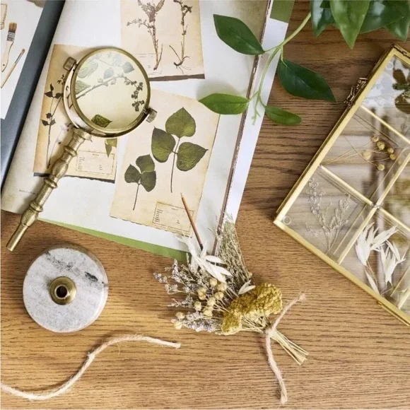 Hearth & Hand Magnolia Small Metal and Glass Display Box - Picture 6 of 6